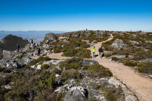 テーブルマウンテンの遊歩道を散策する観光客（南アフリカ）の写真