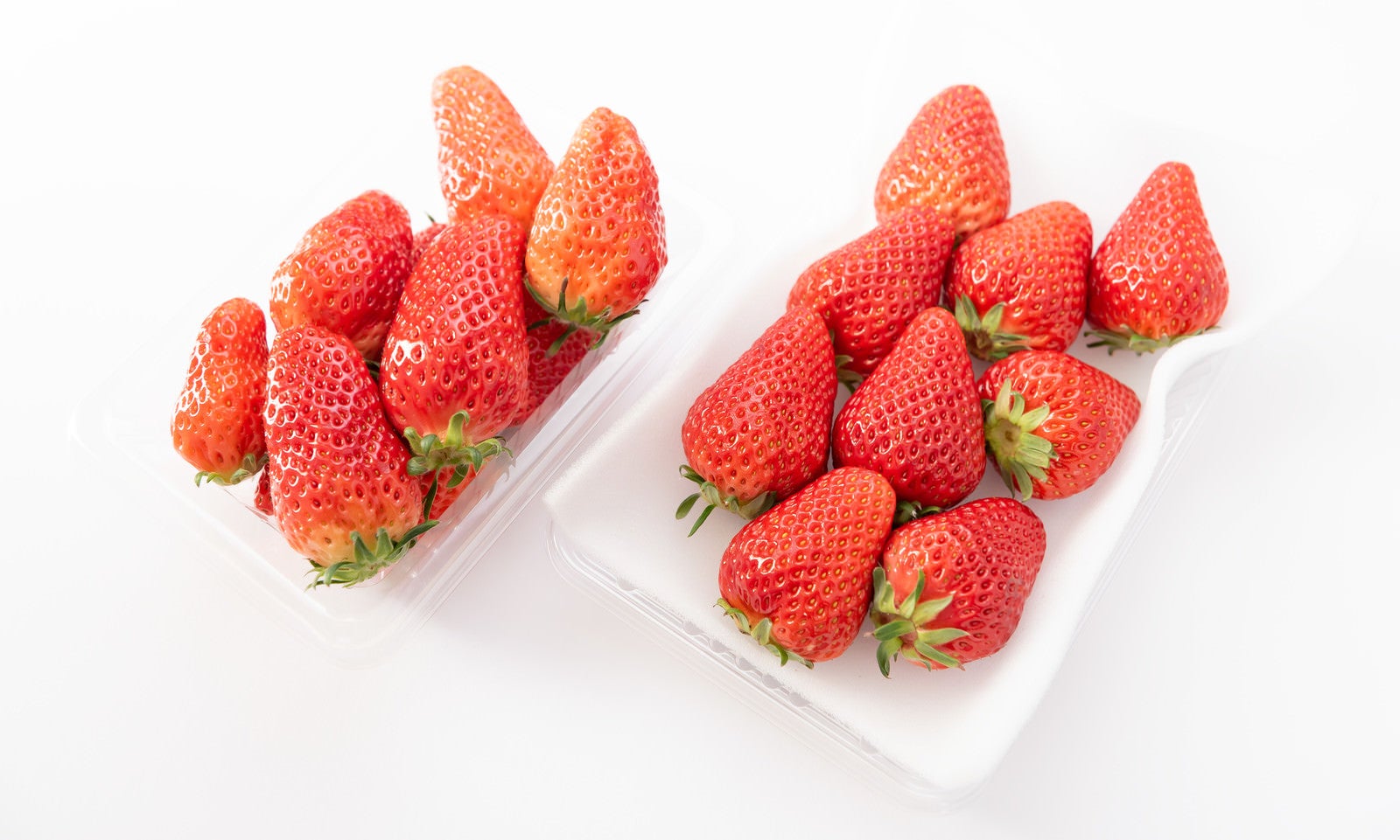 「苺の品種比較（章姫と紅ほっぺ）」の写真