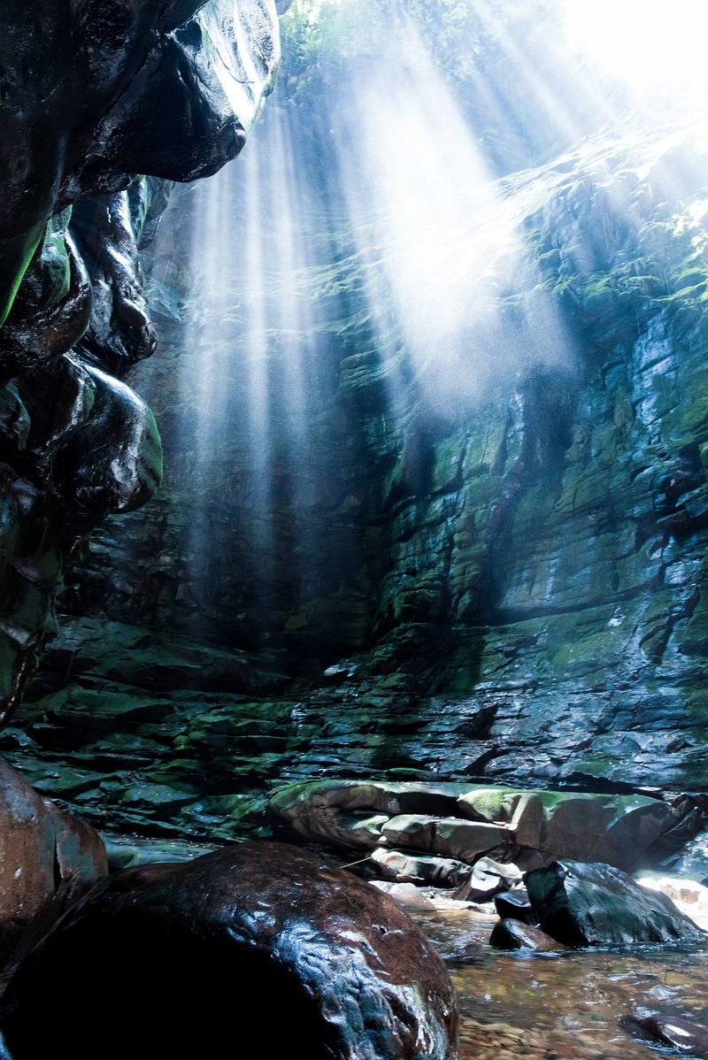 「ベネズエラの洞窟」の写真