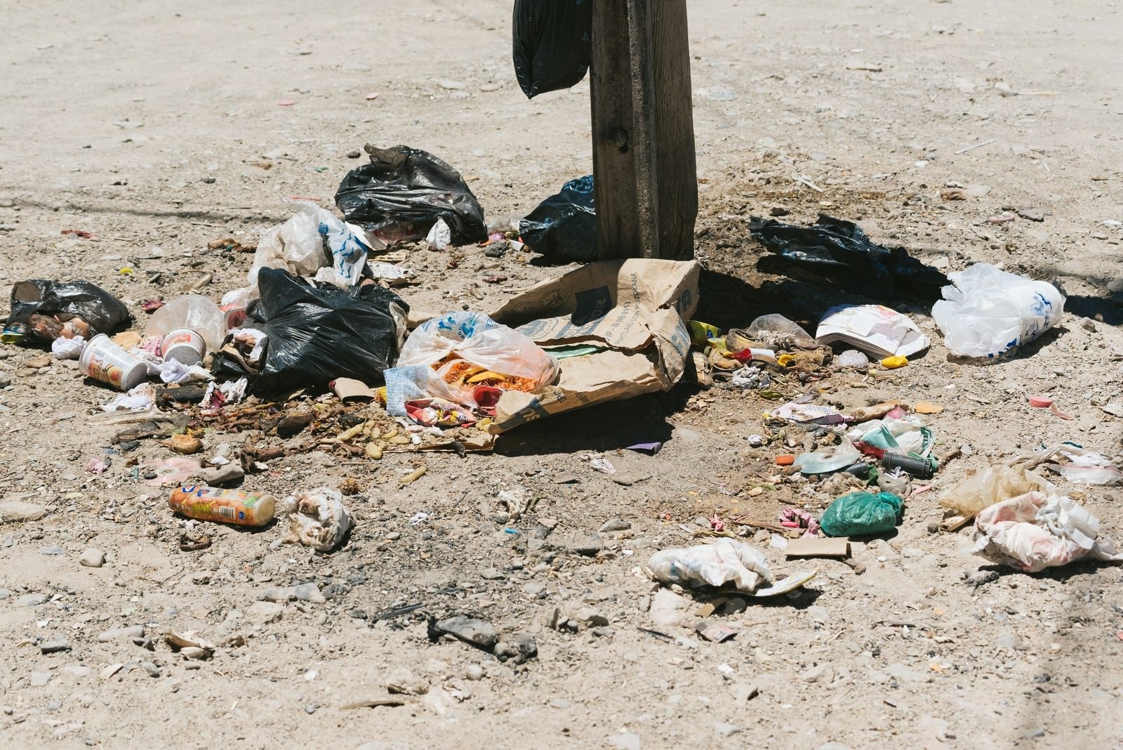 「ポイ捨てされたゴミ（食べ残し）」の写真