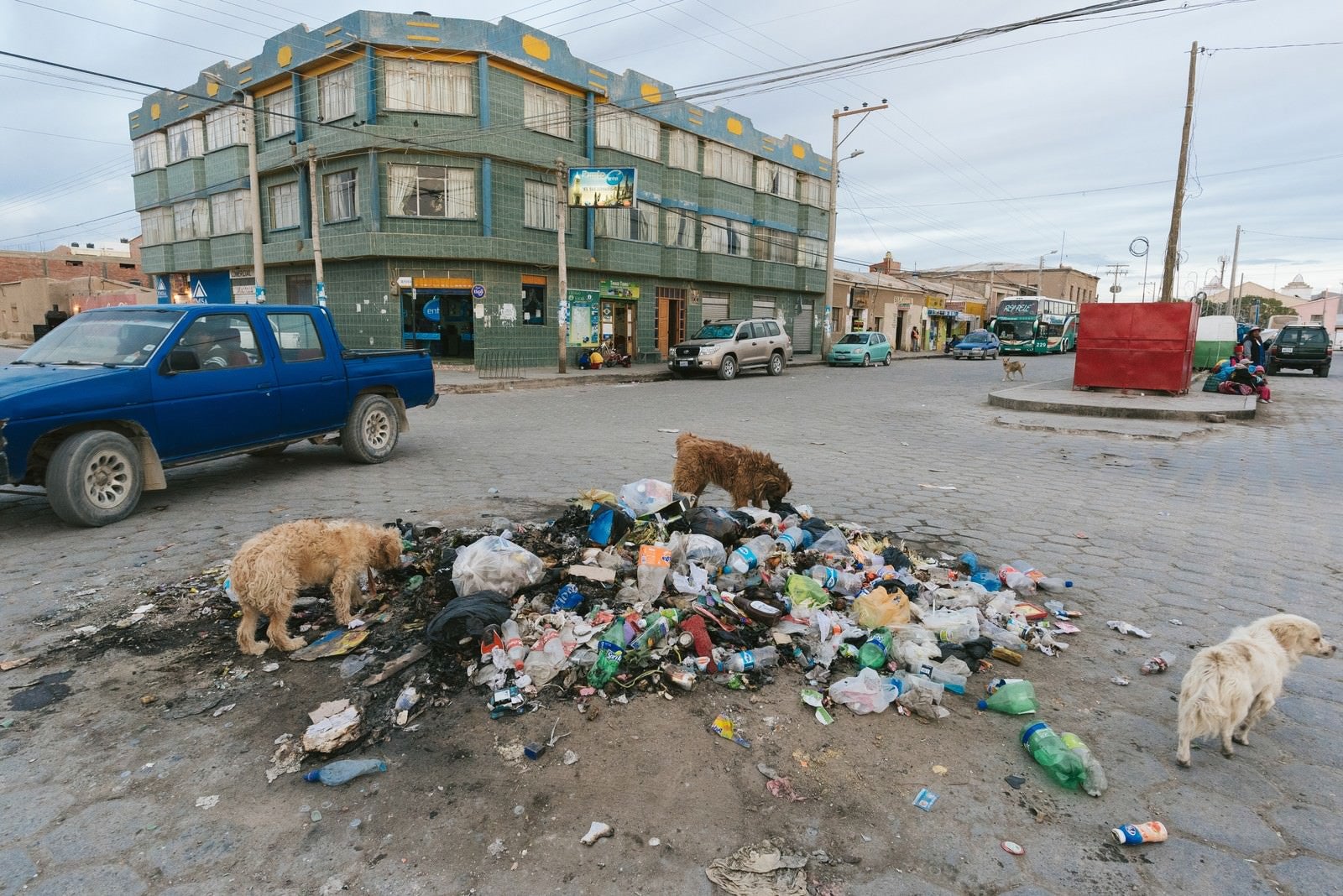 「ウユニ市街のゴミを漁る野犬」の写真