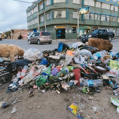 散乱するゴミを漁る野犬達（ウユニ市の現状）の写真