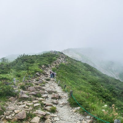 雲中へと続く登山道の写真