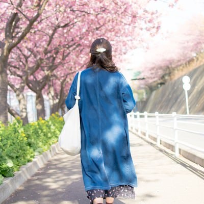桜の道を歩く女性の後姿の写真