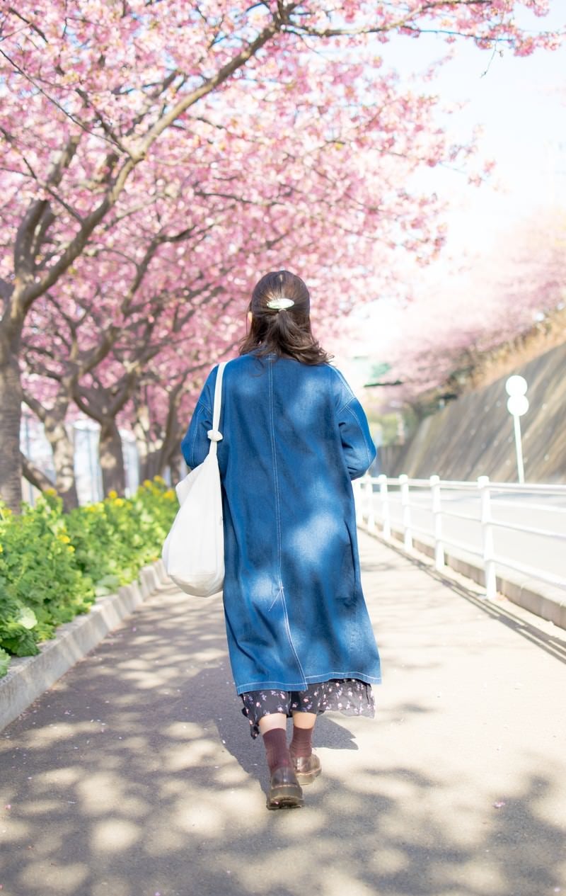 「桜の道を歩く女性の後姿」の写真