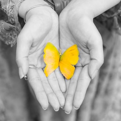 手のひらの黄色い蝶（紅葉した銀杏の葉）の写真