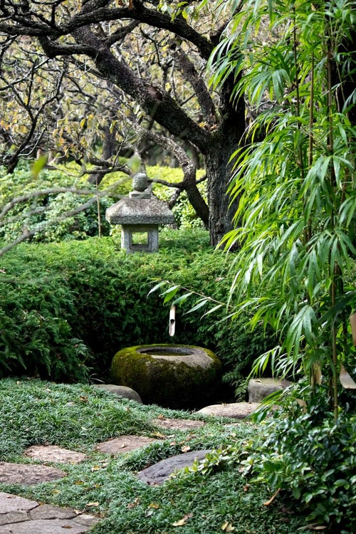 和風のお庭の写真