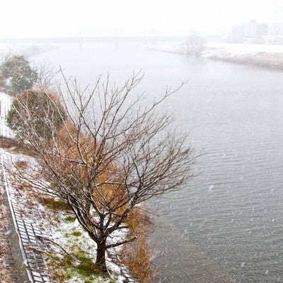 雪と河川敷の様子の写真