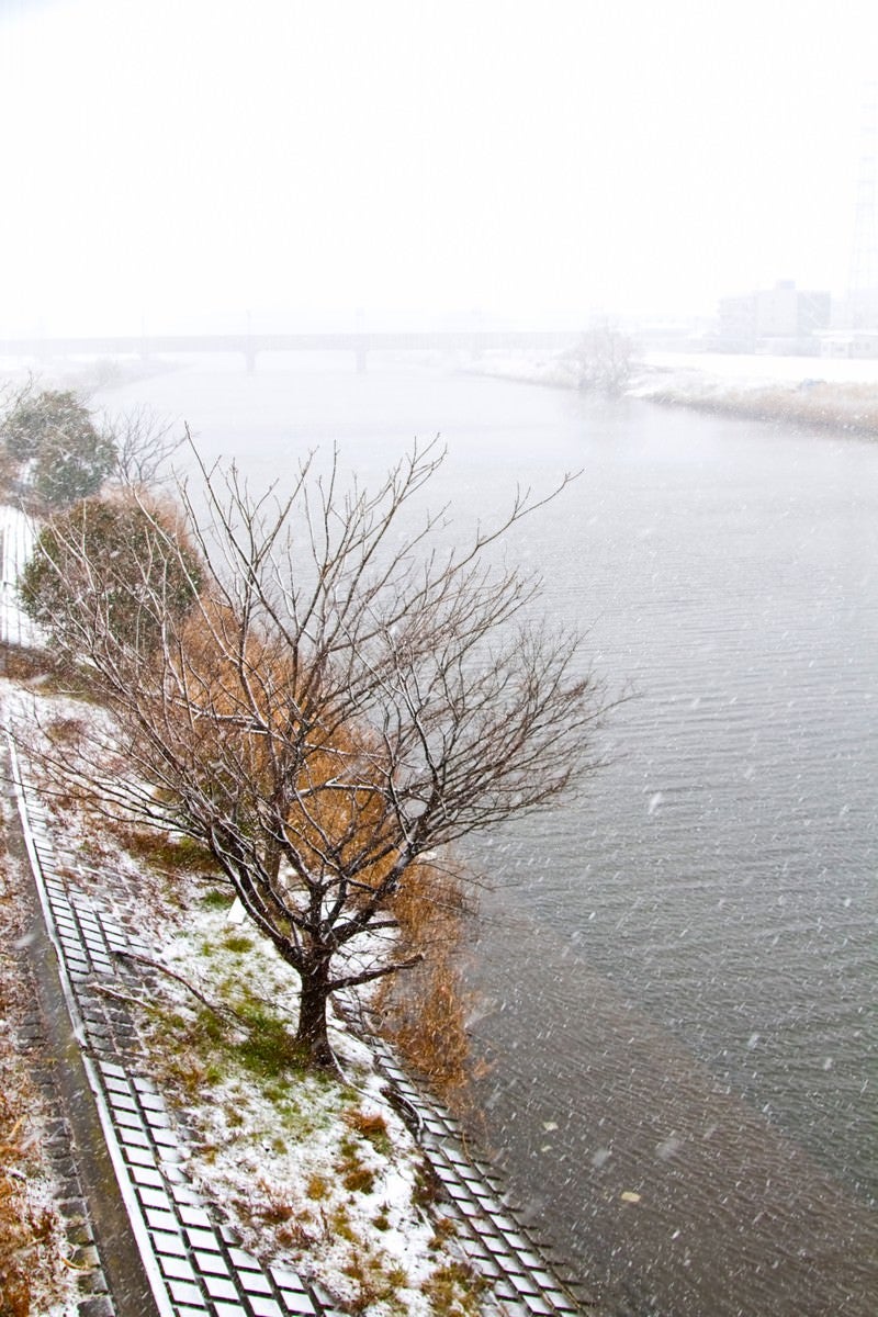 「雪と河川敷の様子」の写真