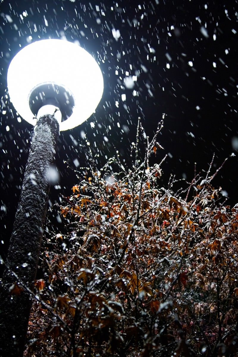 「丸い街灯と雪（夜）」の写真