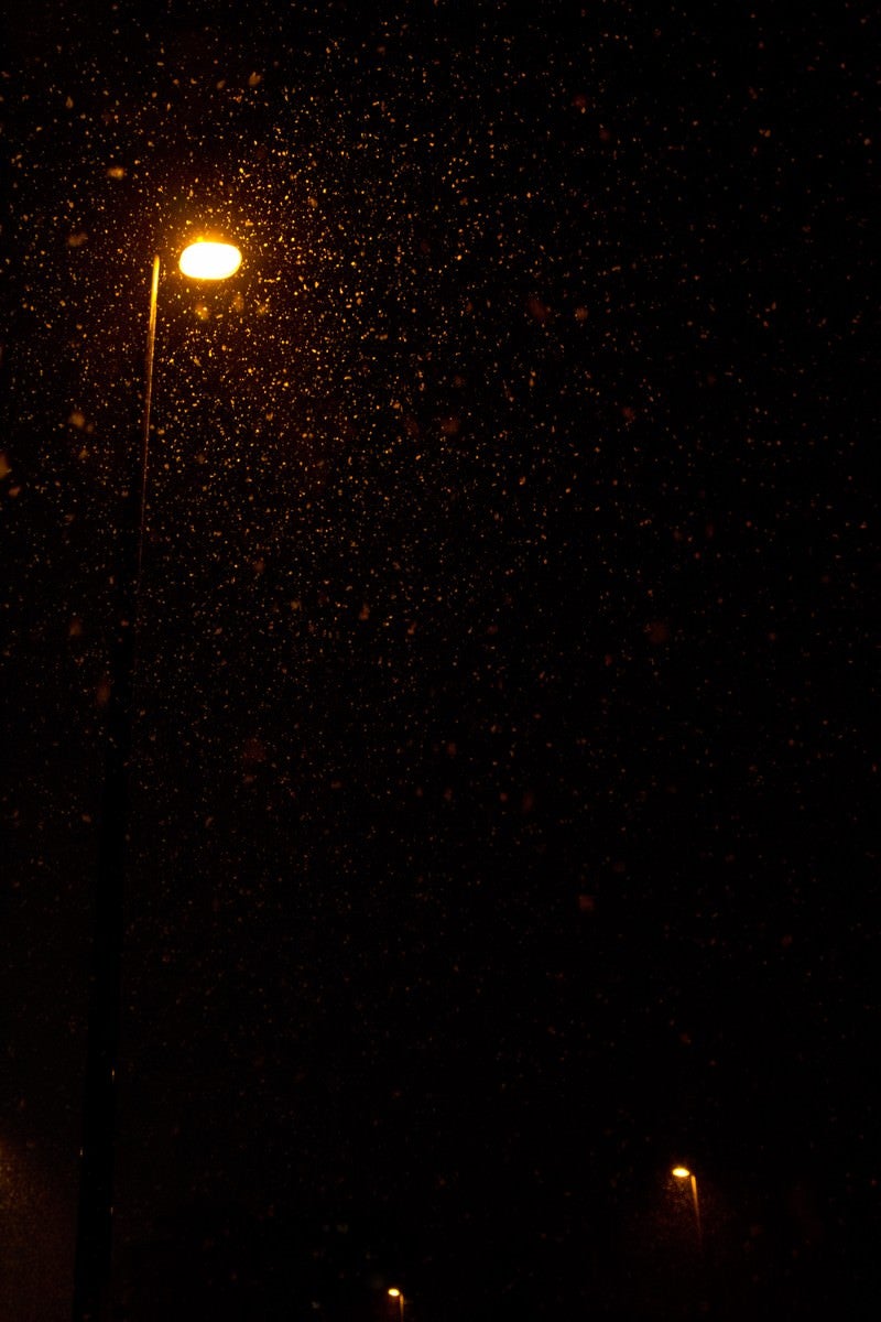 「夜に降る雪と街灯」の写真
