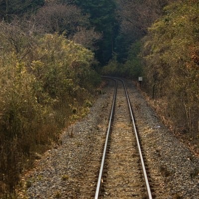 山道を通る線路の写真