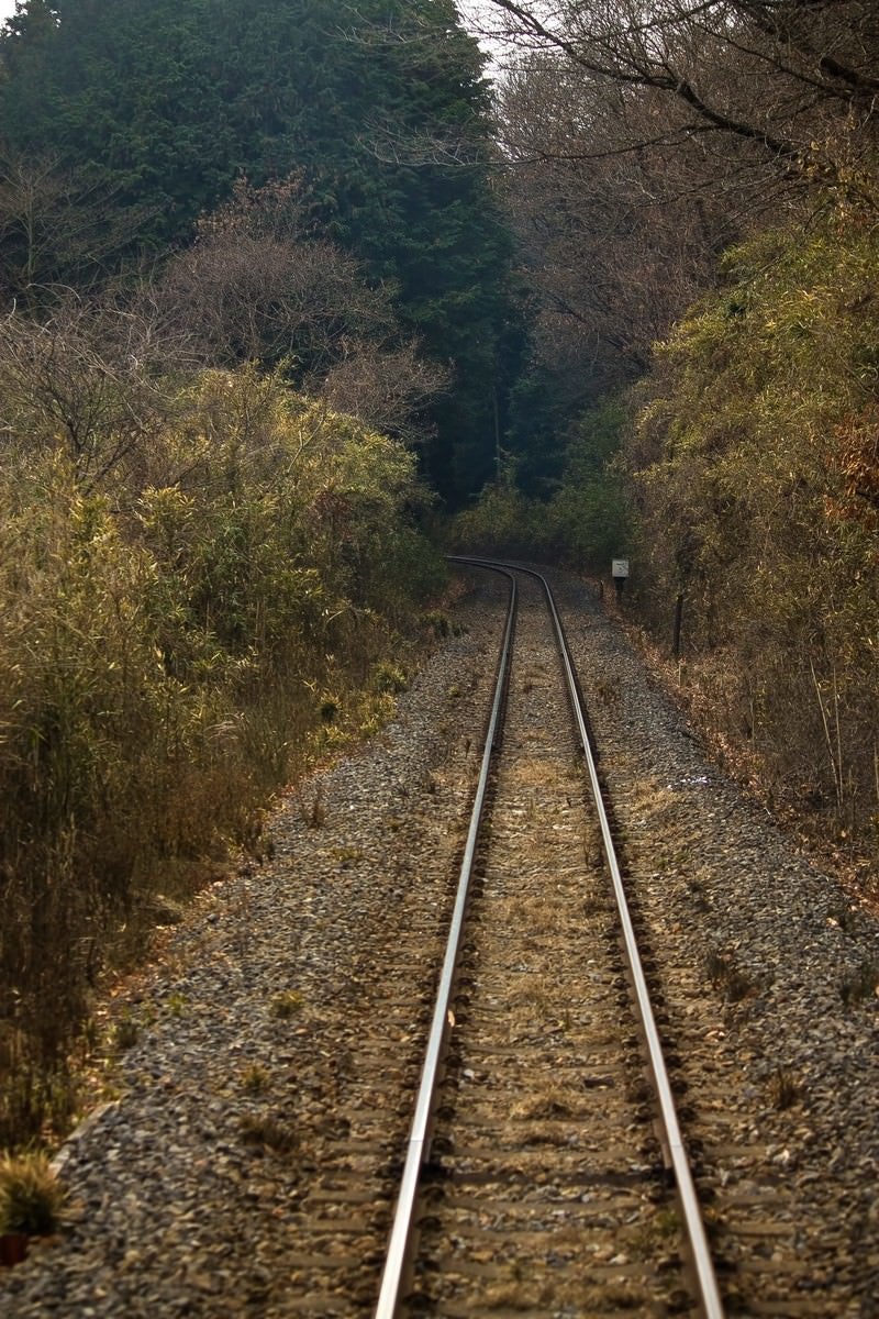 「山道を通る線路」の写真