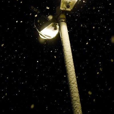 降り散る夜の雪の写真