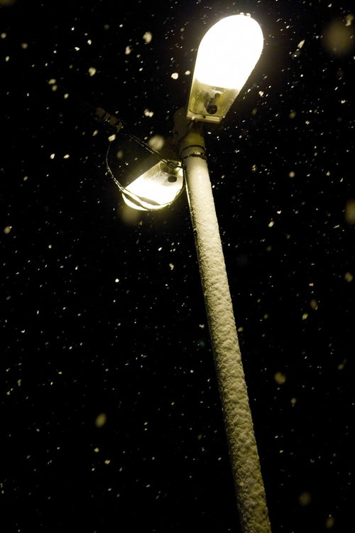 降り散る夜の雪の写真