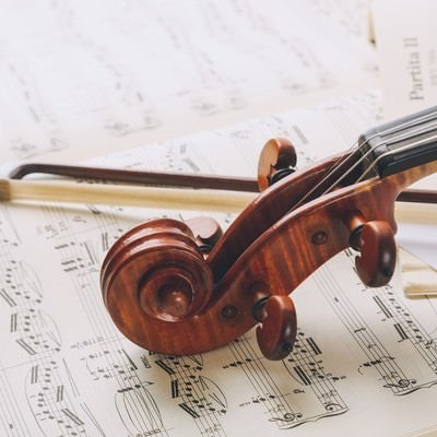 楽譜の上のヴァイオリンのネックと弓の写真