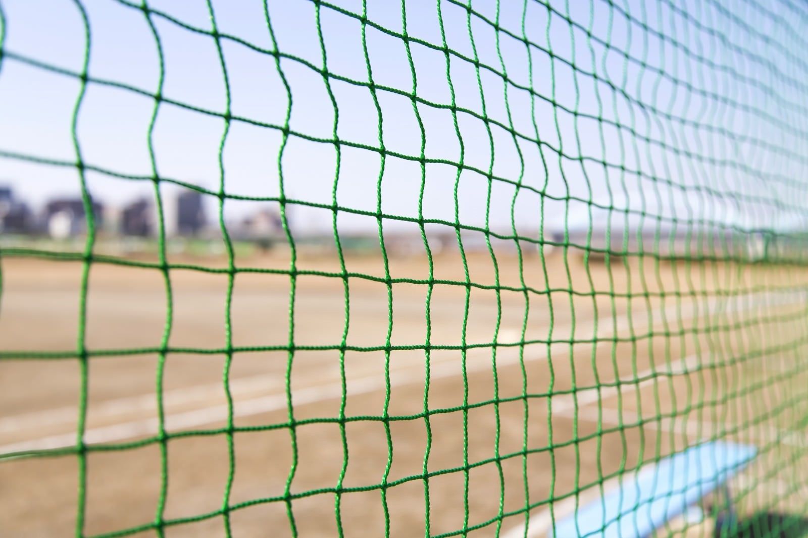 「草野球のネット裏」の写真