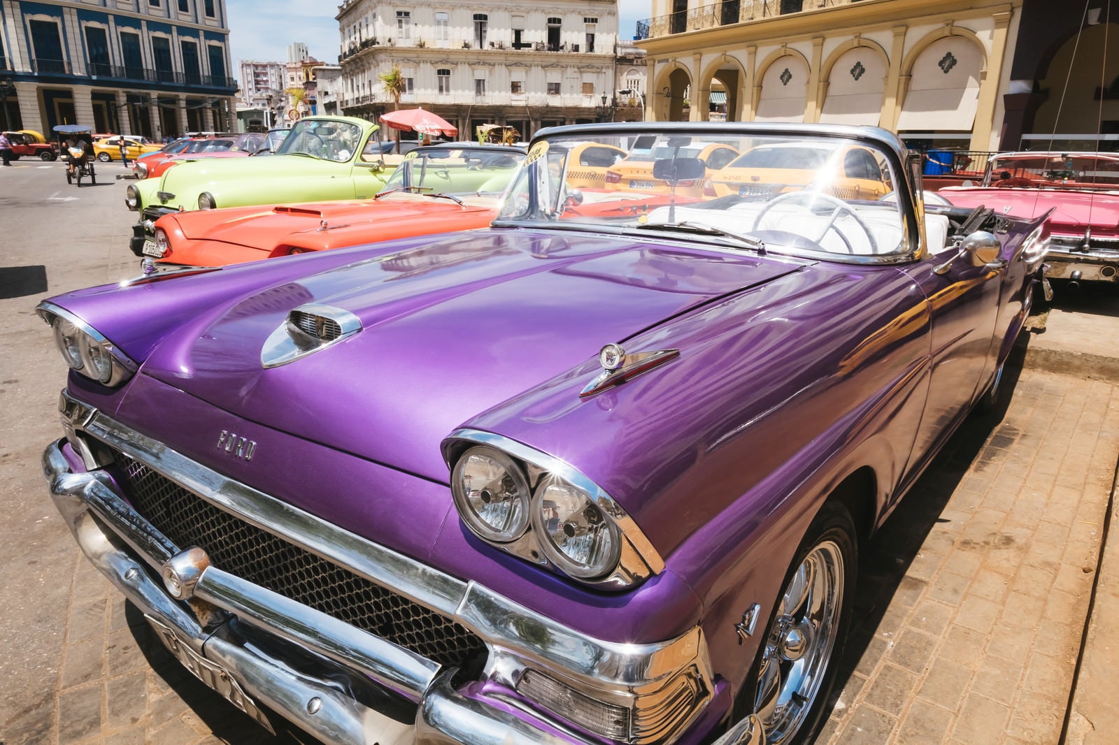 「紫色のイカした車」の写真
