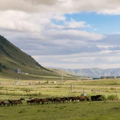 遊牧の風景、モンゴル高原の雄大な自然の写真