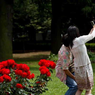 赤い薔薇の前で寄り添い撮影する恋人の写真