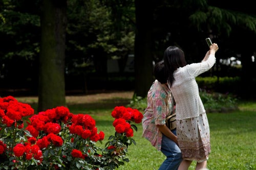 赤い薔薇の前で寄り添い撮影する恋人の写真