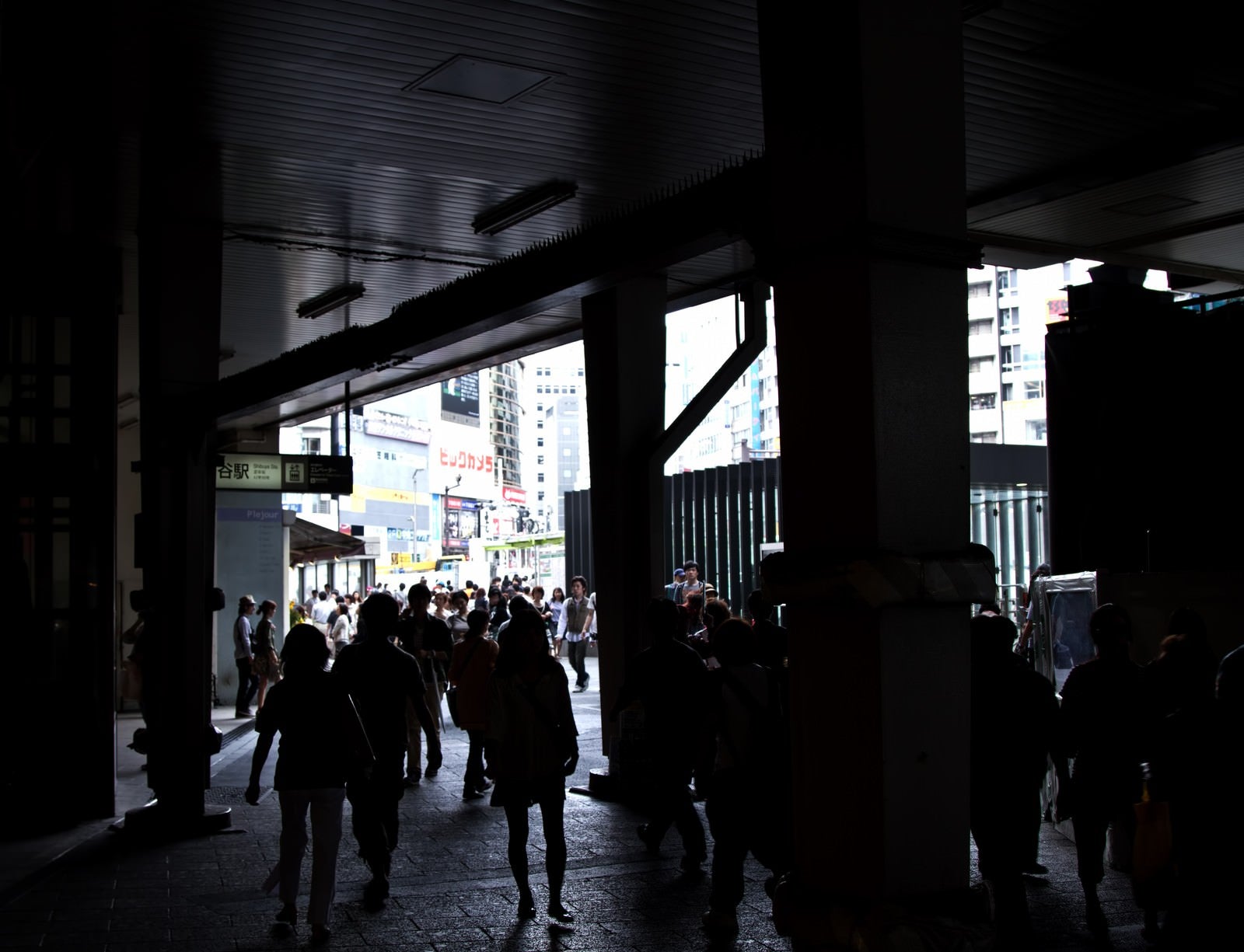 「渋谷の高架下」の写真