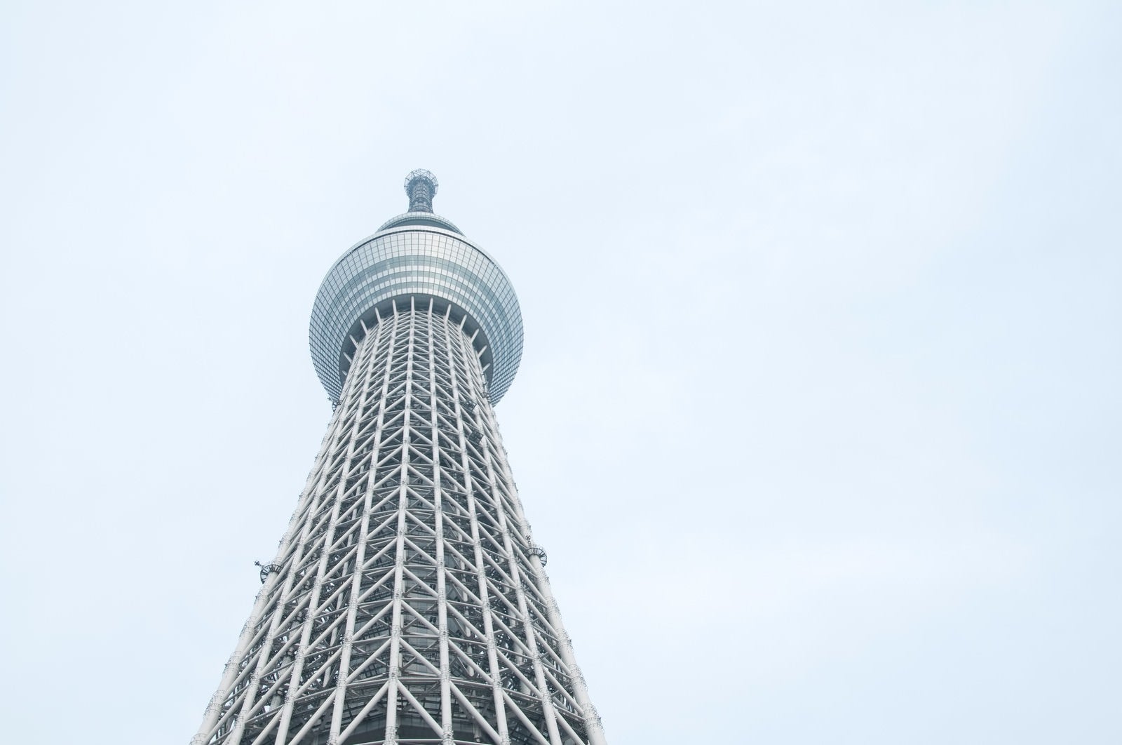 「東京スカイツリーを見上げる」の写真