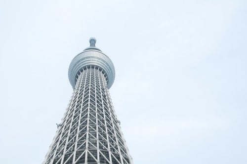 東京スカイツリーを見上げるの写真