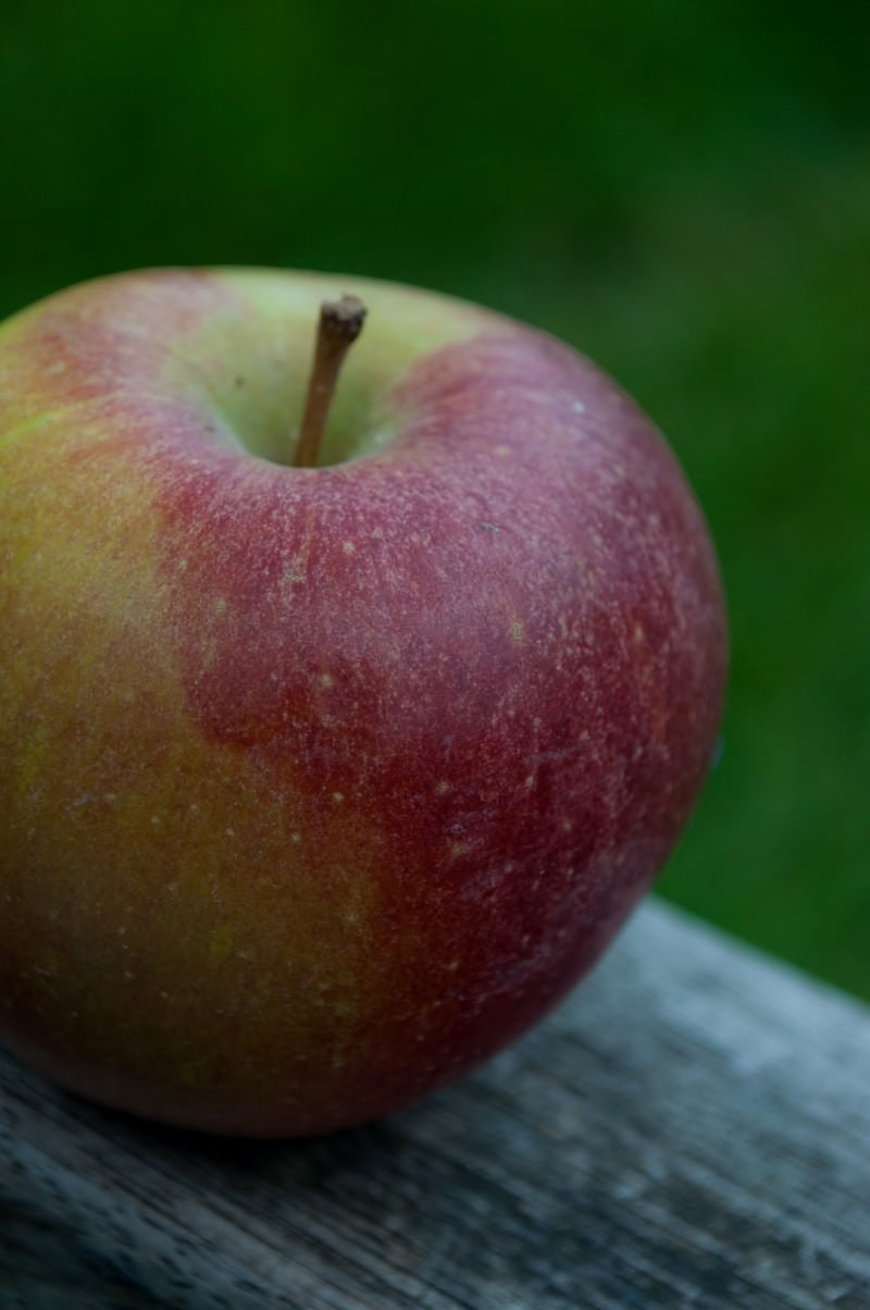 「ベンチに置かれたりんご」の写真