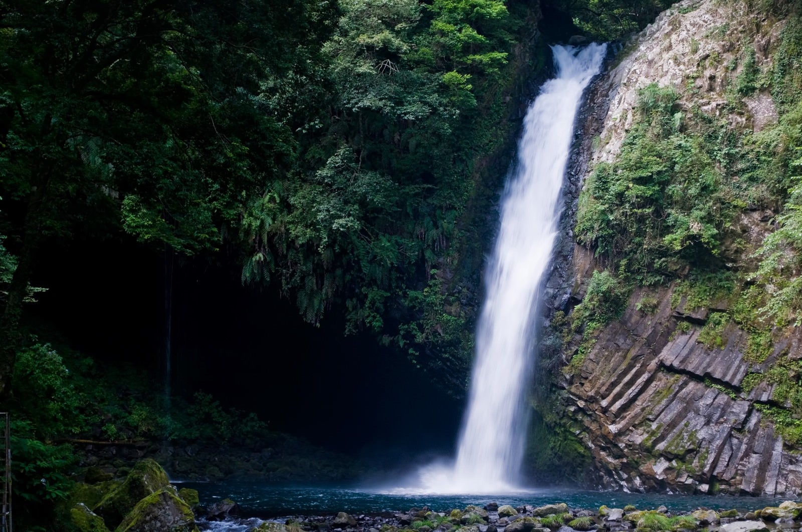 「浄蓮の滝と自然」の写真