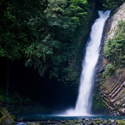 浄蓮の滝と自然の写真