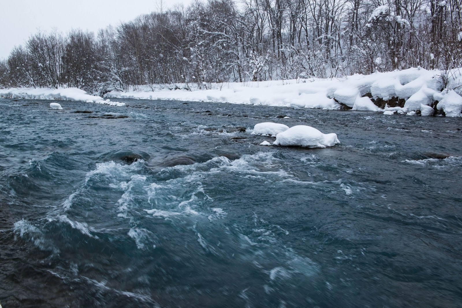 「雪の中の美瑛川」の写真