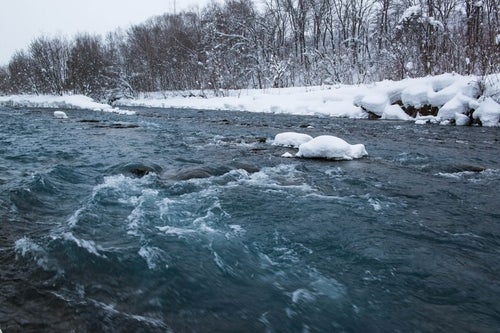 雪の中の美瑛川の写真