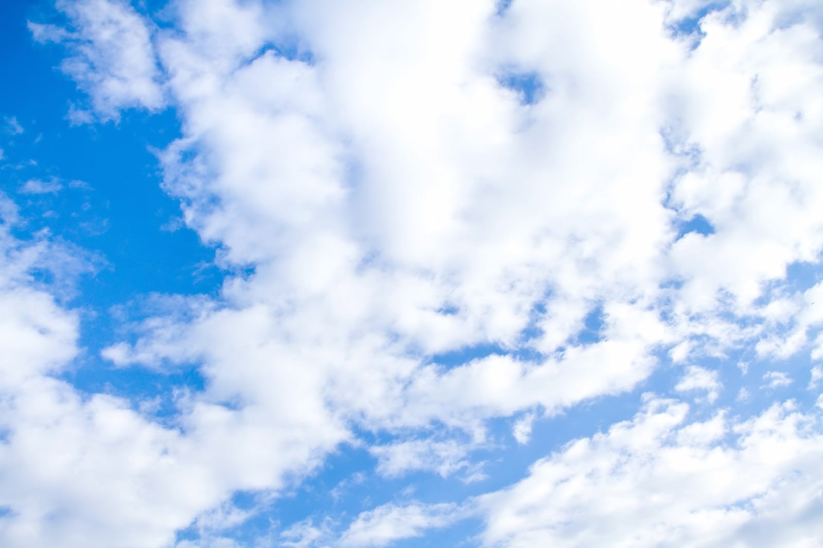 「青空とおぼろ雲」の写真
