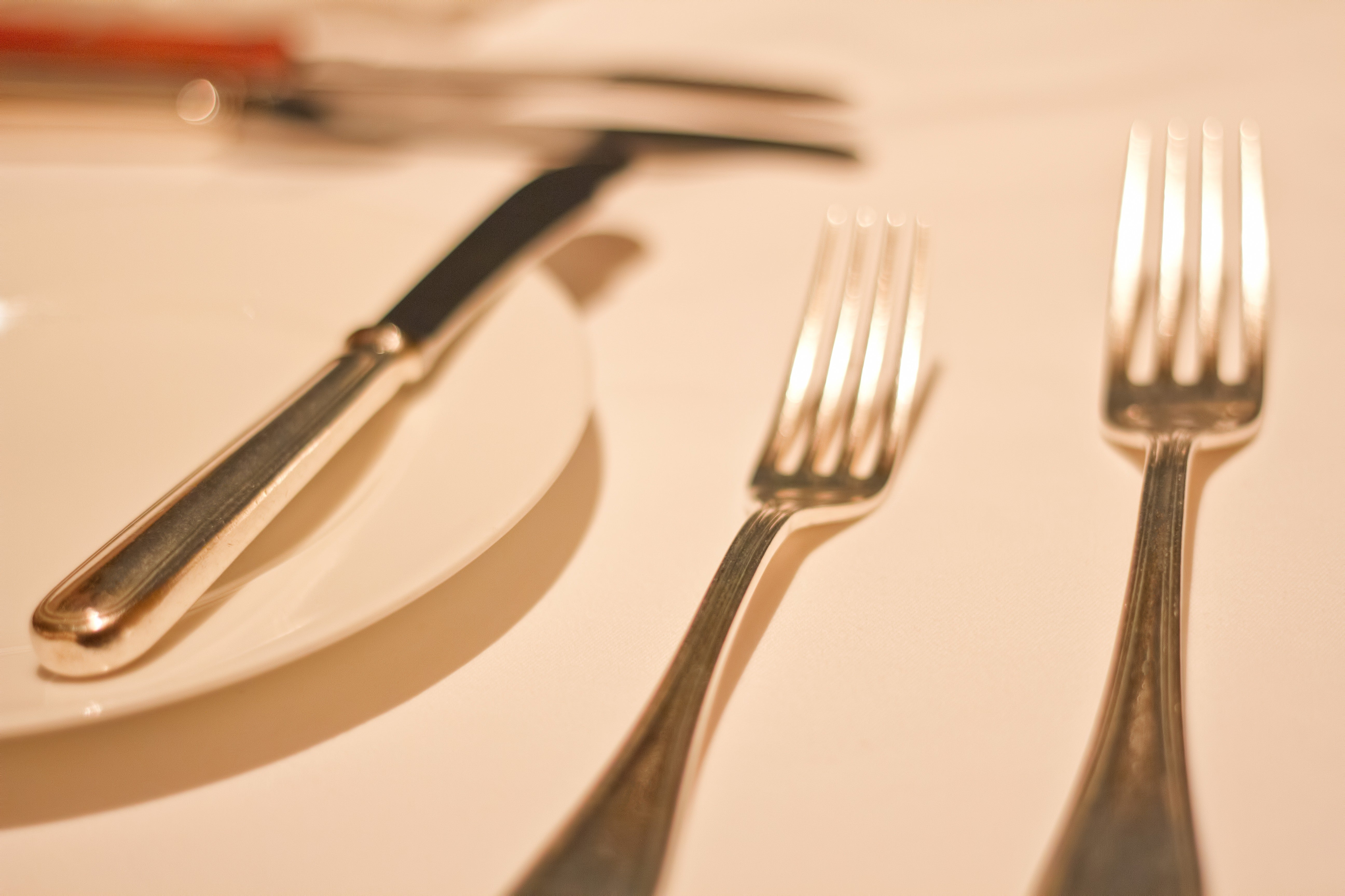銀のフォークとお皿の無料の写真素材 - ID.2182｜フリー素材 ぱくたそ