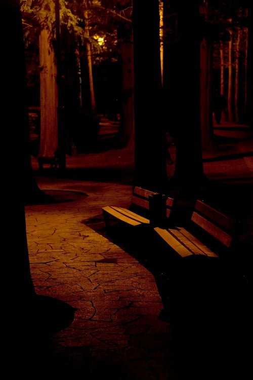 暗闇の公園のベンチの写真