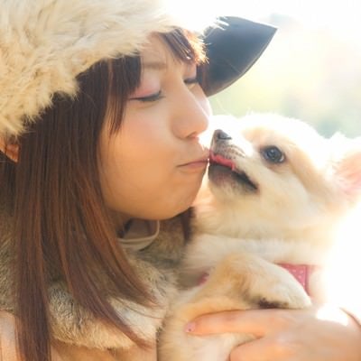 犬とキス（チュー）する可愛い女の子の写真