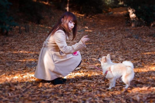 落ち葉の中、犬とお散歩中のコートの女の子の写真