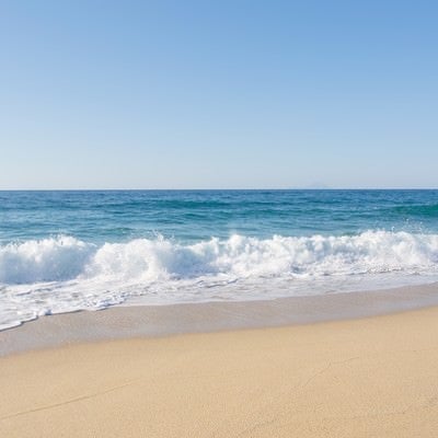 屋久島の海と砂浜の写真