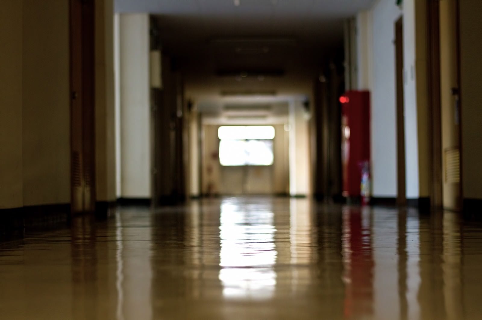 「薄暗い校舎の廊下」の写真