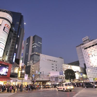 渋谷の夜の写真