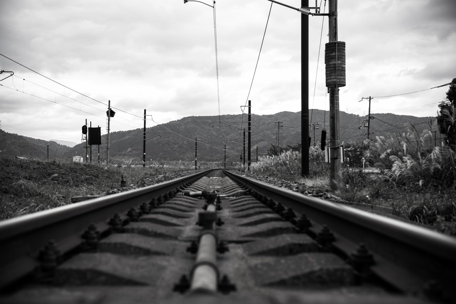 「灰色の線路」の写真