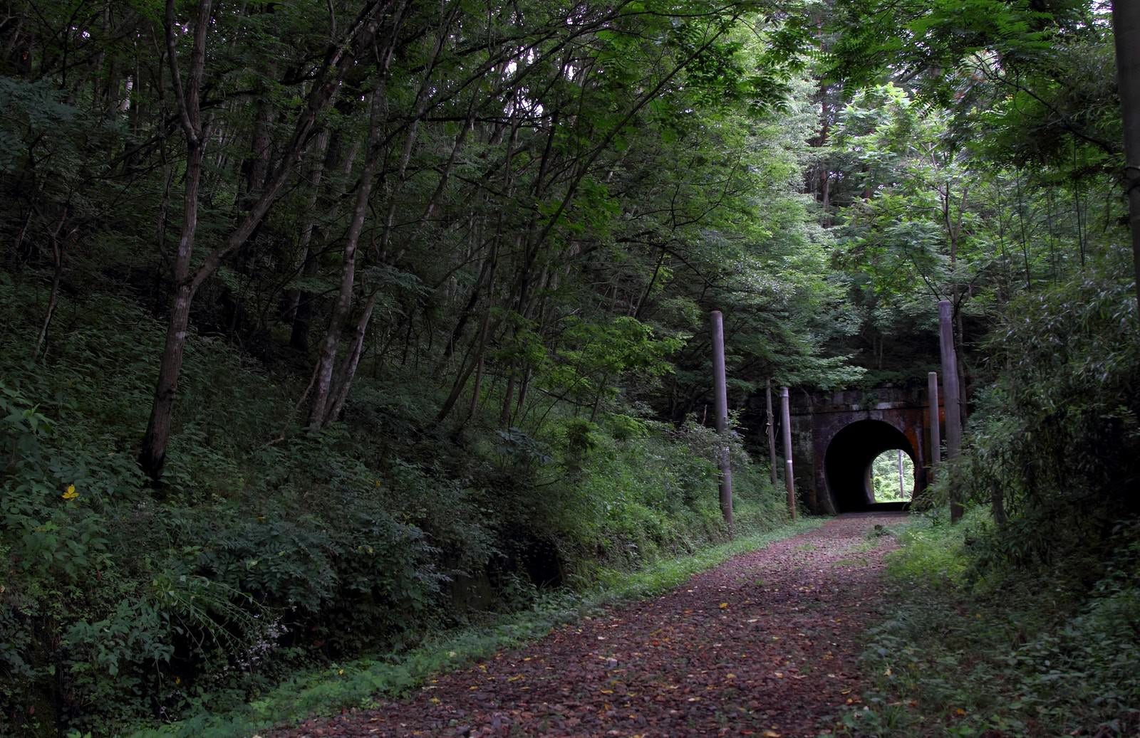 「不気味な廃線のトンネル」の写真