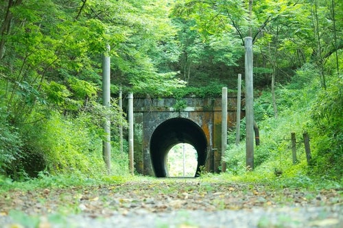 緑に覆われるトンネルの写真