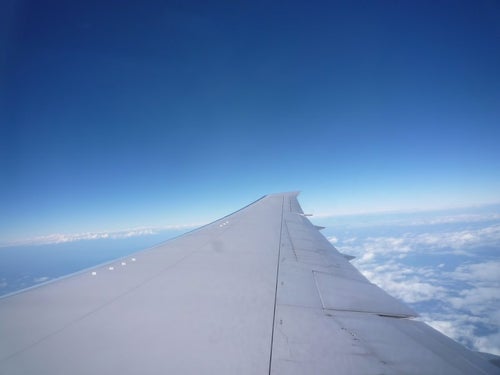 飛行機の羽と広がる青空の写真