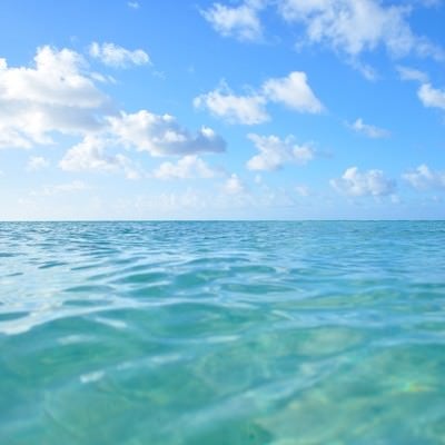 透明な海と青空の写真