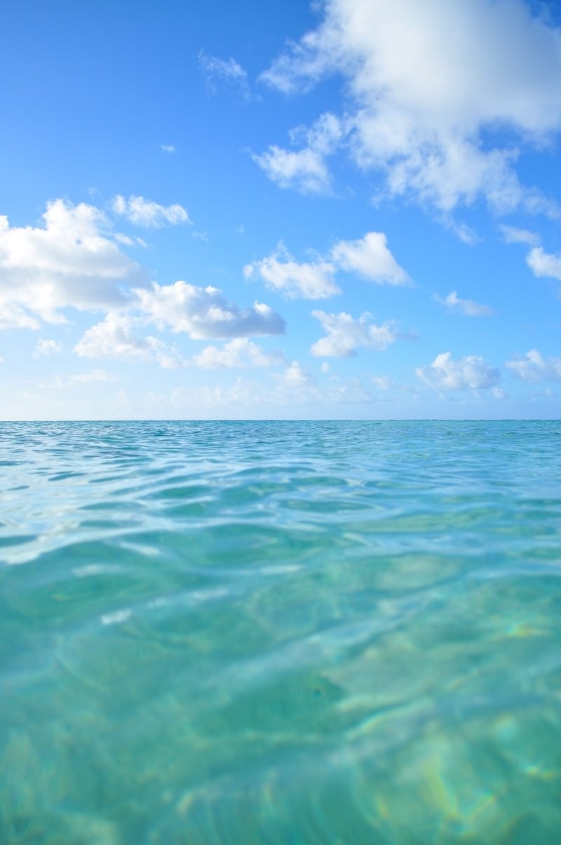 「透明な海と青空」の写真
