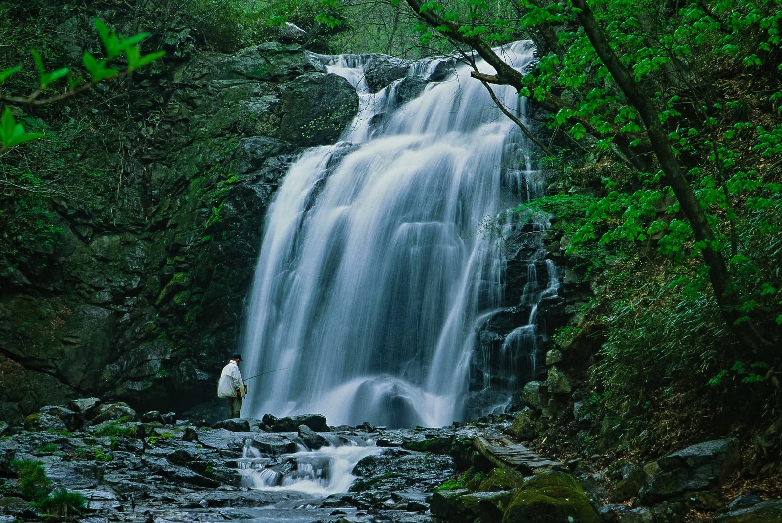 「浅間大滝と釣り人」の写真