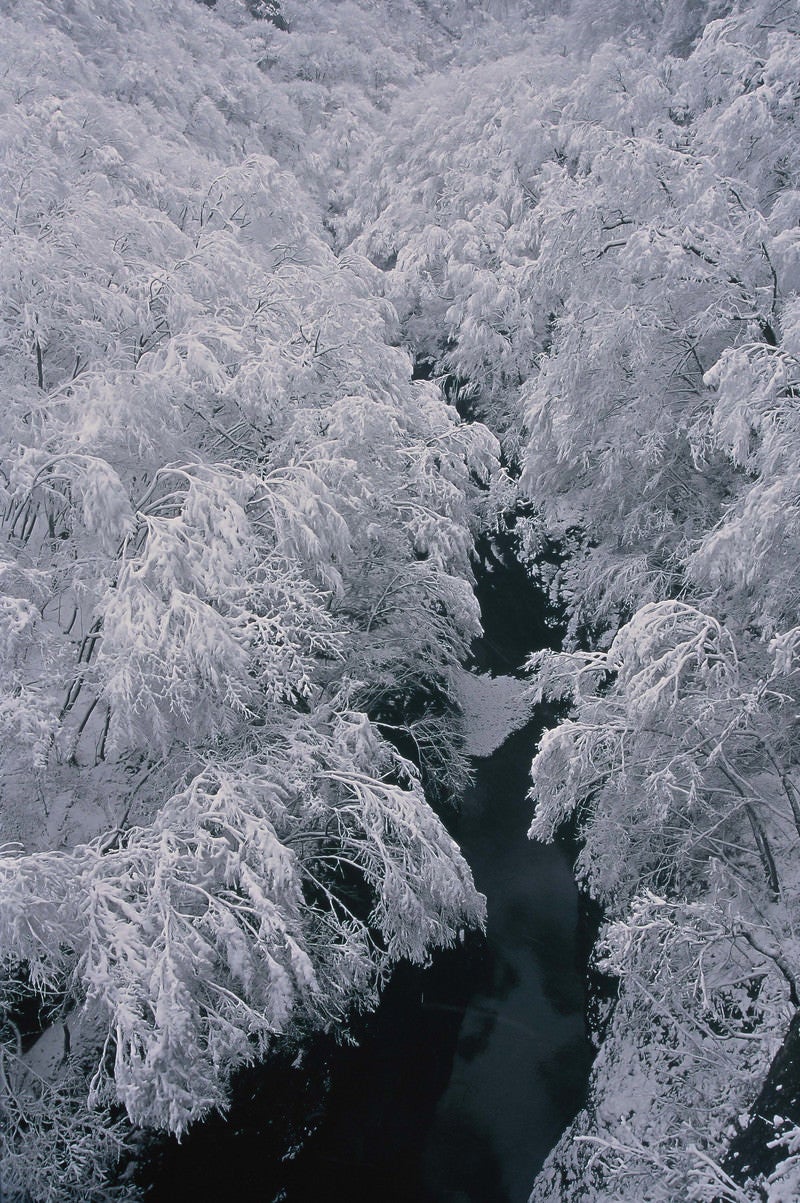 浅間渓谷の雪模様の写真