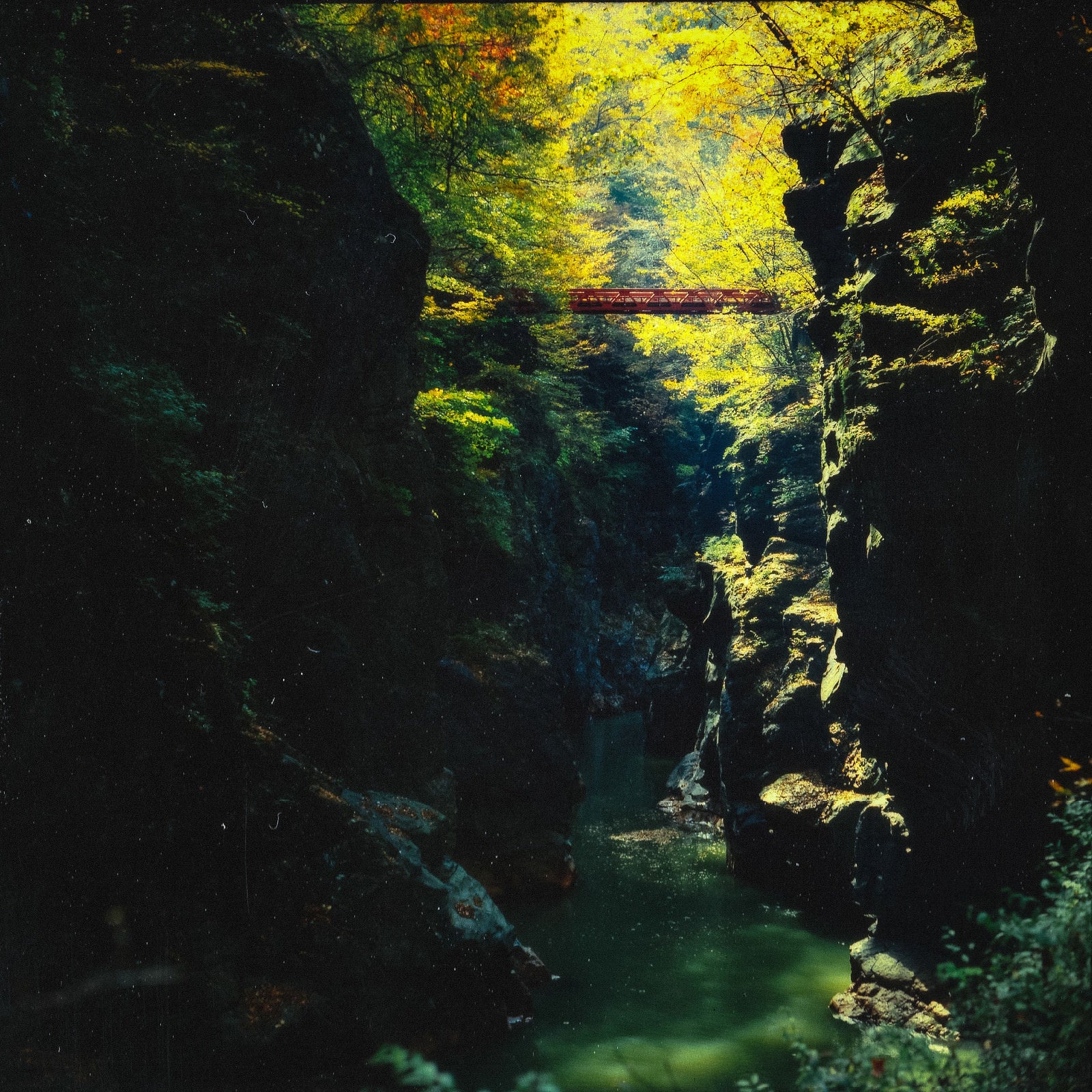 「吾妻渓谷の崖」の写真